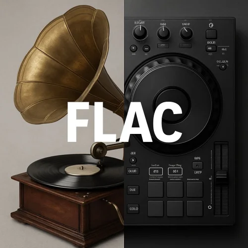 دانلود آهنگ و موزیک با فرمت FLAC